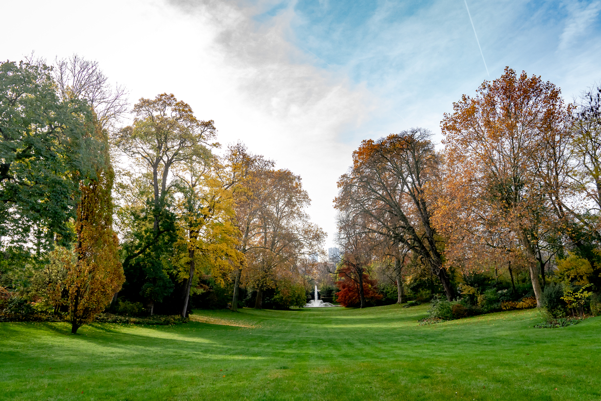 Photographie du Parc depuis la terrasse