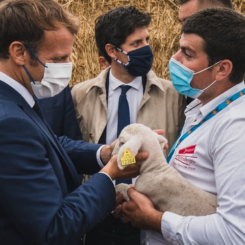 2021-09-10 VO Alpes-de-Haute-Provence, Corbières, Terres de Jim