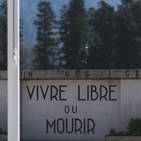 2019-03-31 (191258) Déplacement d Emmanuel Macron en compagnie 